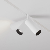 Maytoni TR032-2-12W3K-S-W