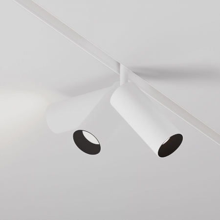 Maytoni TR032-2-12W4K-S-W