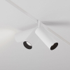Maytoni TR032-2-12W4K-S-W