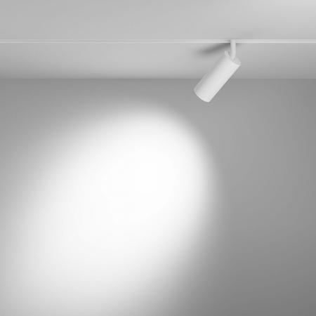 Maytoni TR032-2-12W4K-S-W