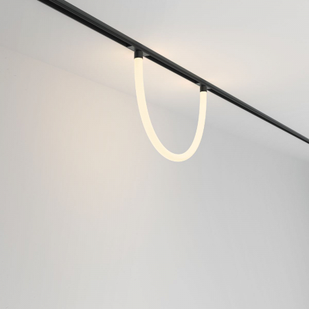 Maytoni TR101-2-20W3K-B