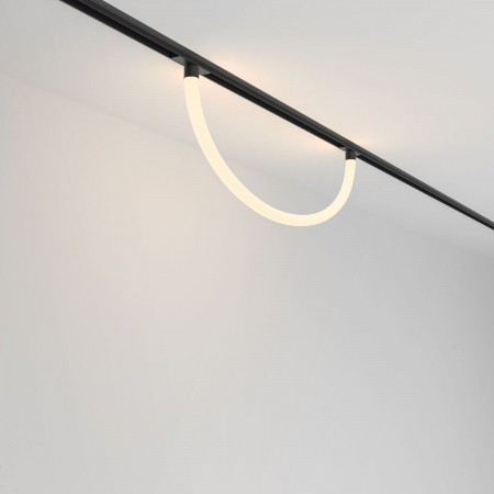 Maytoni TR101-2-20W3K-B