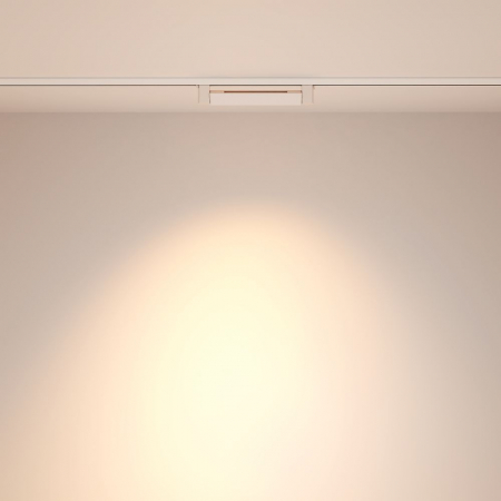 Maytoni TR010-1-10W3K-M-W