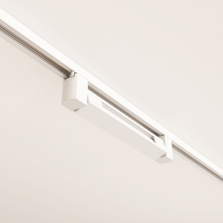 Maytoni TR010-1-10W3K-M-W