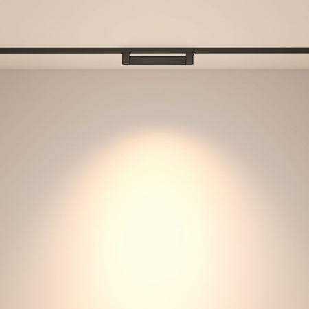 Maytoni TR010-1-10W4K-M-B