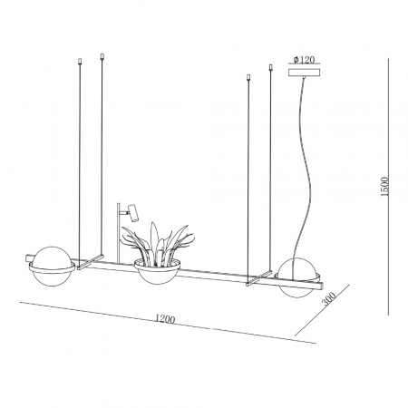 Delight Collection 10228P/S black