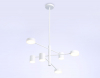 Ambrella Light FL51684