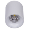 Reluce 81117-9.5-001RT LED10W WT