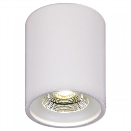 Reluce 81117-9.5-001RT LED10W WT