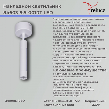 Reluce 84603-9.5-001RT LED5W*2W WT