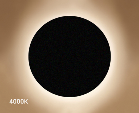 Italline IT02-017 black