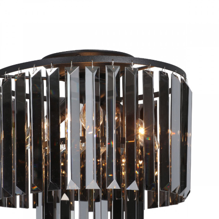 Vitaluce V5155-1/4PL