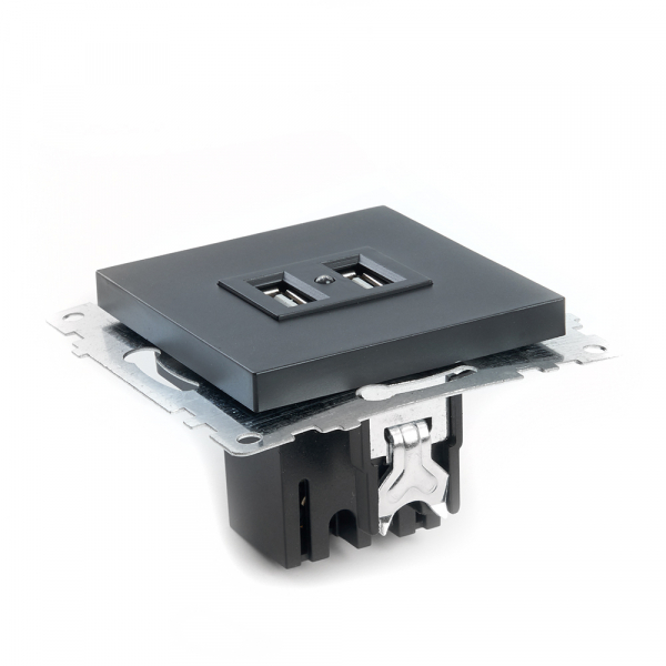 Розетка USB 2-местная Stekker Катрин 39616