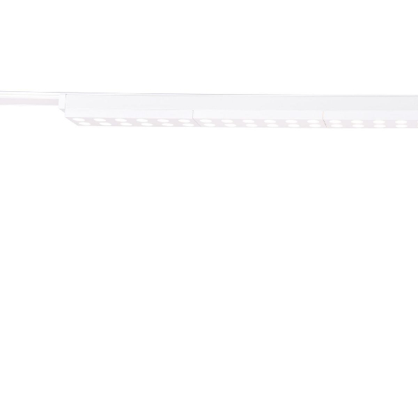 Трековый магнитный светильник Favourite Unica 4140-2C