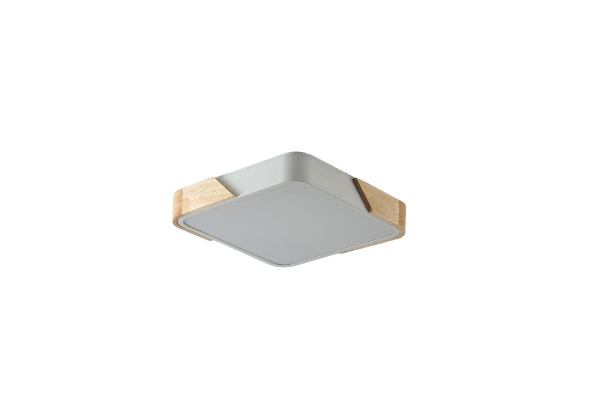 Потолочный светильник Zortes Alberro ZRS.01285.48