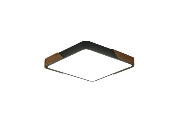 Потолочный светильник Zortes Alberro ZRS.01288.60