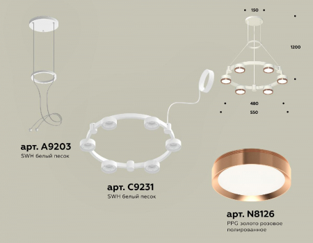 Ambrella Light XR92031103