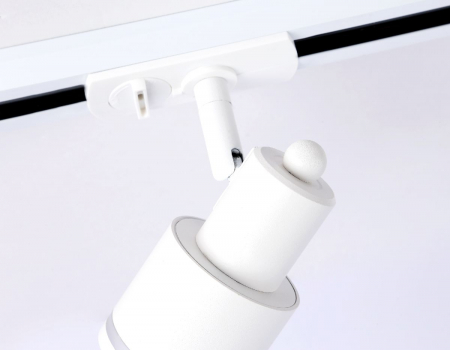 Ambrella Light GL5205