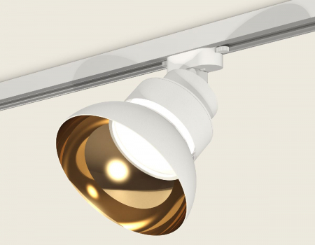 Ambrella Light XT8101201