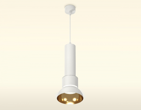 Ambrella Light XP8110007