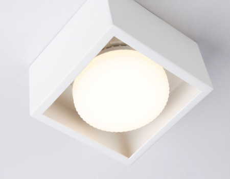 Ambrella Light TN70825