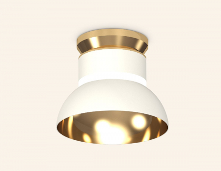 Ambrella Light XS8101061