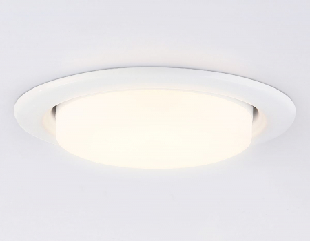 Ambrella Light G10101