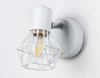 Ambrella Light TR8626
