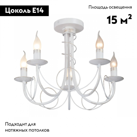 Vitaluce V3035-0/5PL