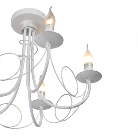 Vitaluce V3035-0/5PL