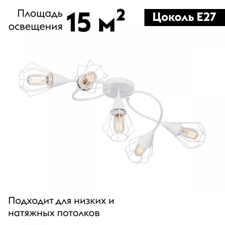 Vitaluce V3037-0/5PL