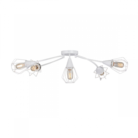 Vitaluce V3037-0/5PL