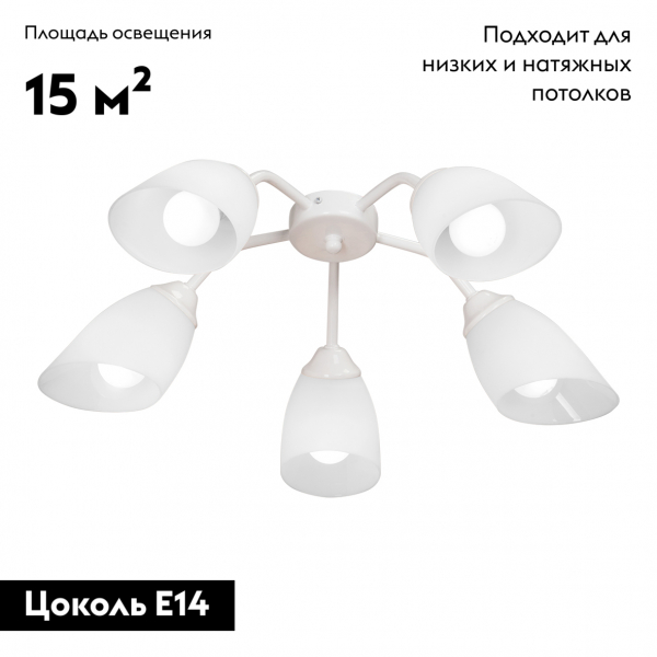 Потолочная люстра Vitaluce V31950/5PL