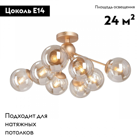 Vitaluce V3772-8/8PL