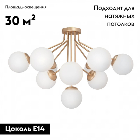 Vitaluce V42870-8/10PL