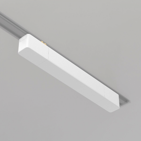 Maytoni TRA084DR-100W