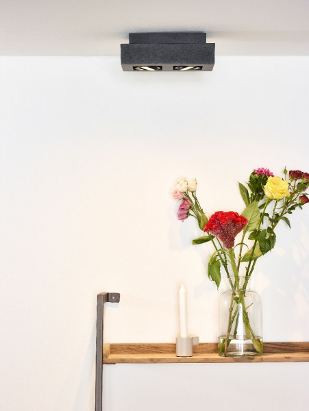 Накладной светильник Lucide Xirax 09119/11/30