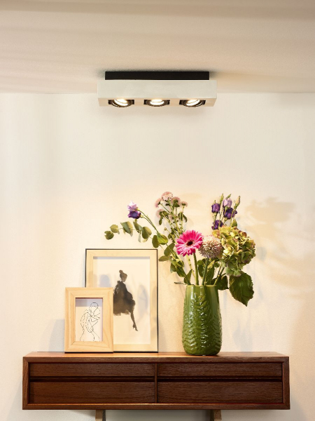 Накладной светильник Lucide Xirax 09119/16/31