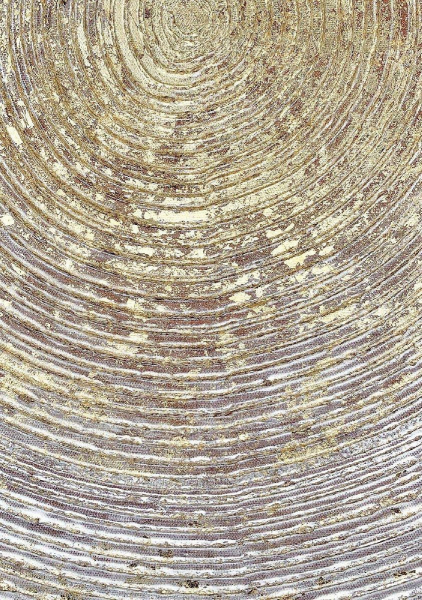 Панно Tomas Stern 87057