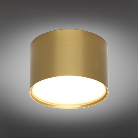 Omnilux OML-100929-06