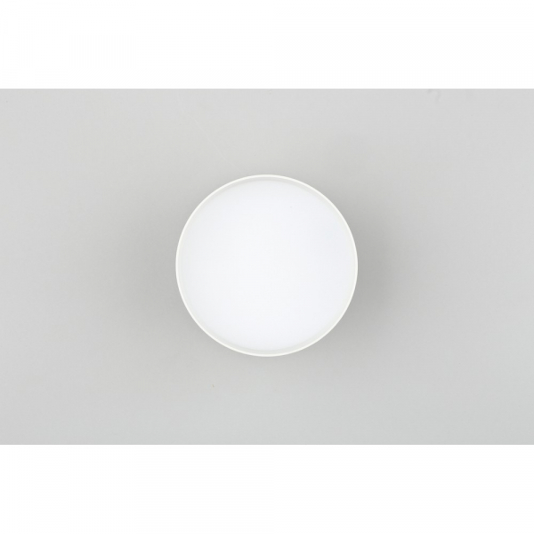 Накладной светильник Omnilux Abano OML-103309-12