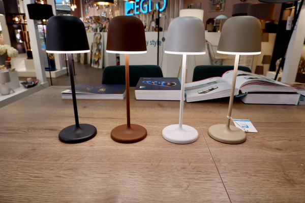 Уличная настольная лампа Eglo Mannera 900459