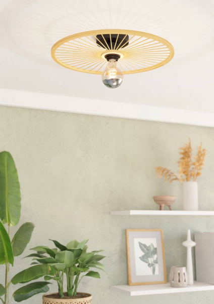 Настенно-потолочный светильник Eglo Leominster 43883