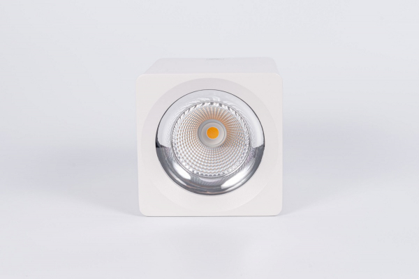 Накладной светильник Fiberli CH-SD220-1 12120101