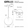 Citilux CL102630