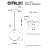 Citilux CL102620