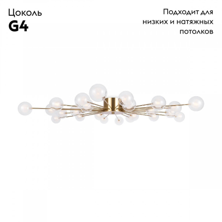 Freya FR5242CL-24BS1