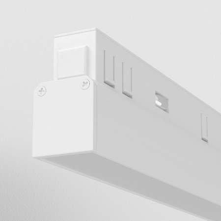 Maytoni TR030-2-12W3K-W