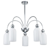 Escada 686/5PL Chrome