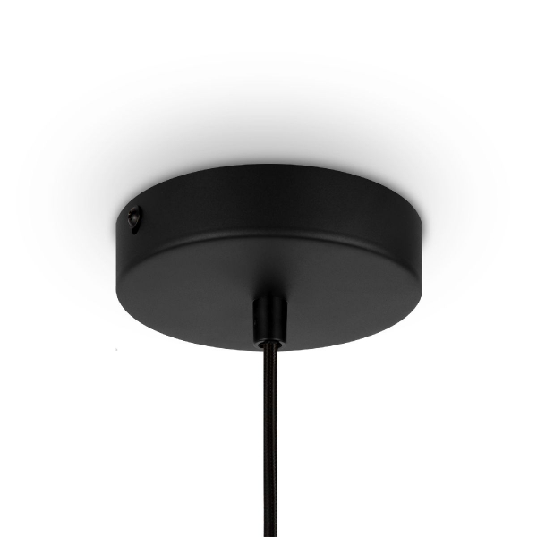 Подвесной светильник Maytoni Roots MOD193PL-01W